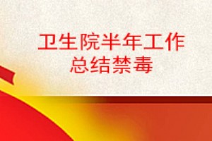 卫生院半年工作总结禁毒